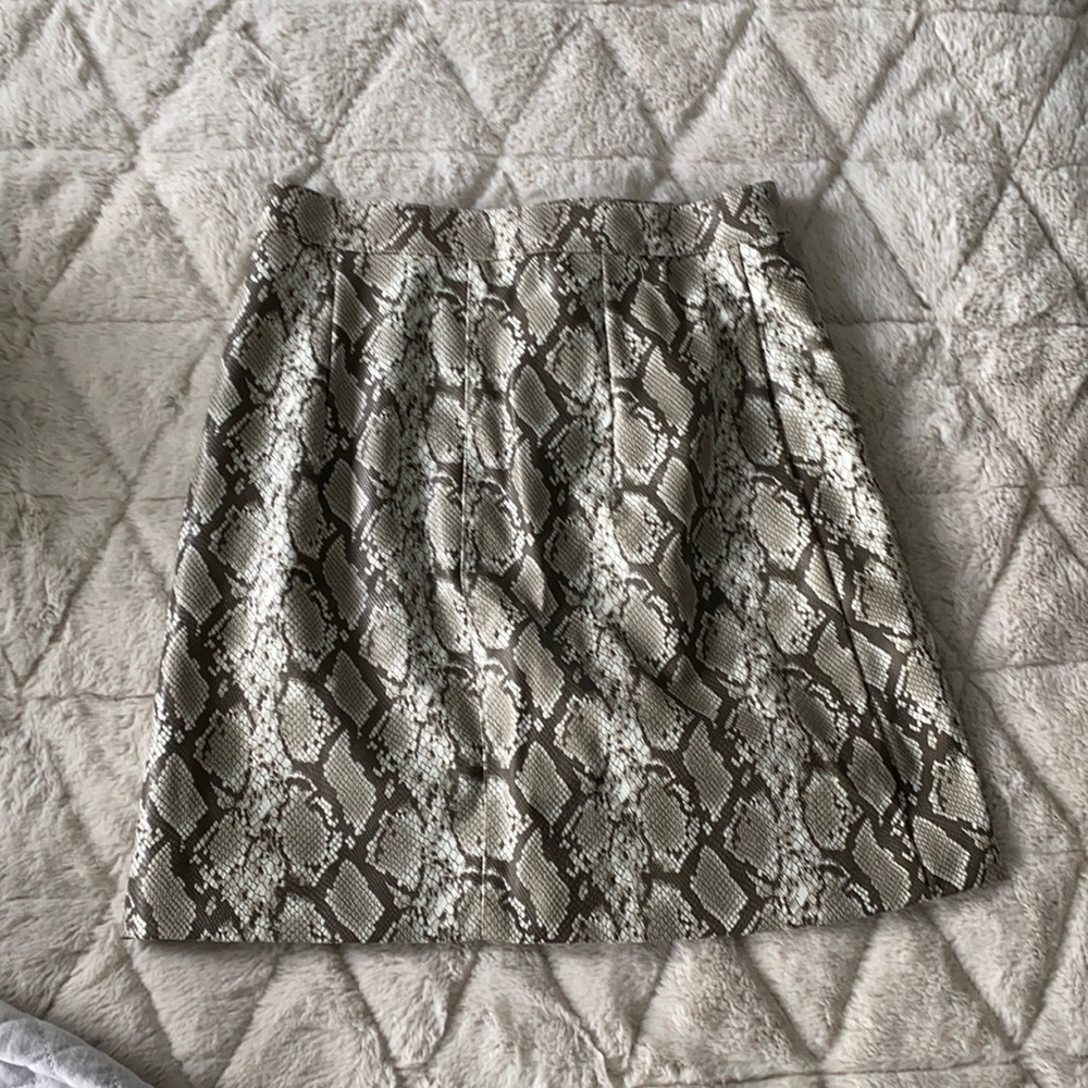 Snake Skin Skirt